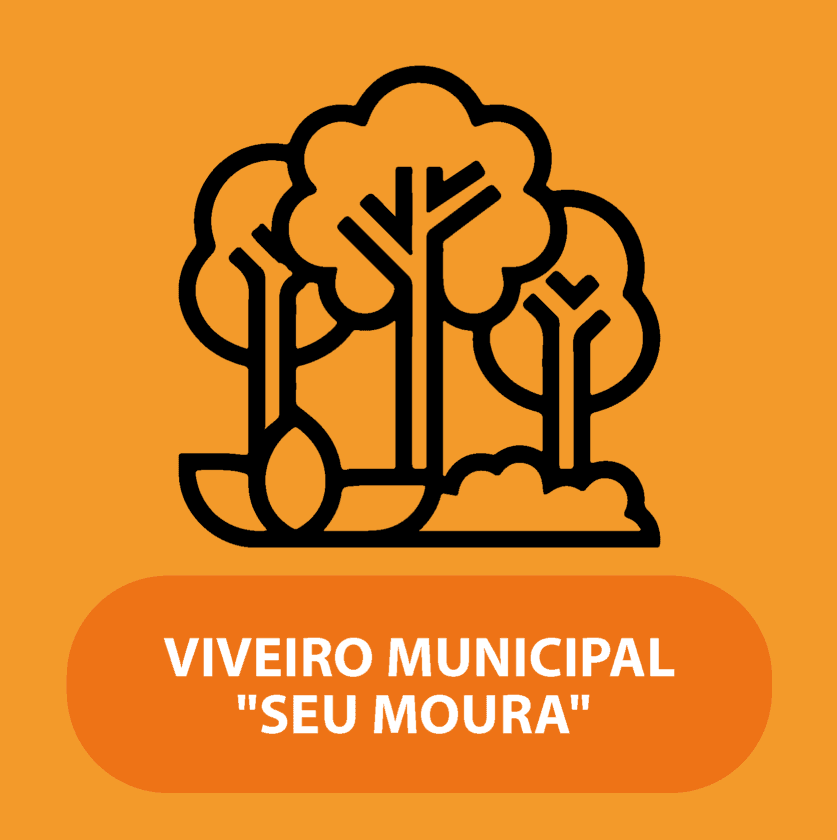 Viveiro Municipal
