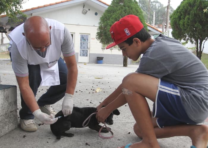 Vacinação antirrábica volta ao bairro Igarapés neste sábado (14)