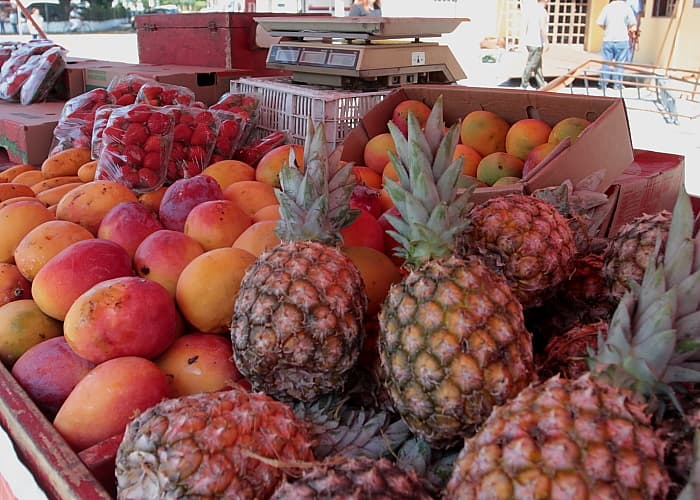 Ponto da Economia tem frutas natalinas