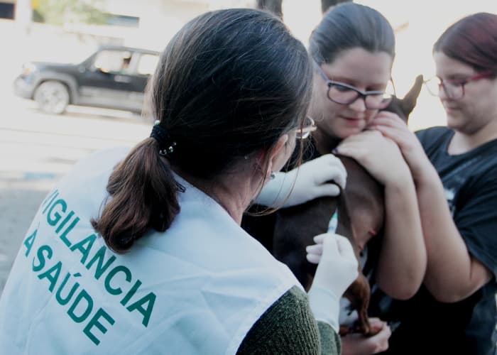 Campanha de vacinação antirrábica segue neste sábado (5)