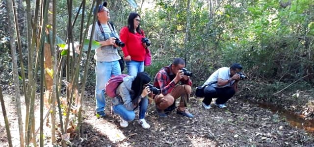Domingo (30) é o último dia de visitas no Viveiro Municipal durante as férias
