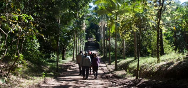 Projeto “Férias no Viveiro” recebe cerca de 500 pessoas nos domingos de julho