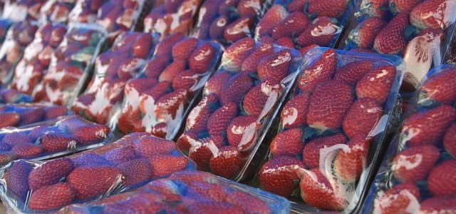 Ponto da Economia registra venda de 104 mil caixas de morangos