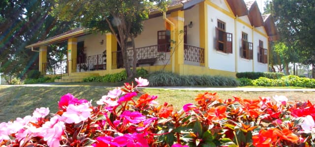 Festival celebra a chegada da estação das flores