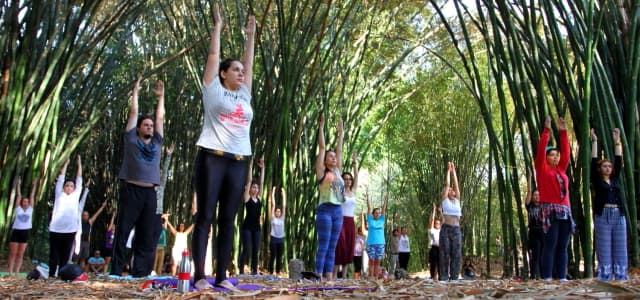 Primeiro dia do Festival da Primavera no Viveiro é sucesso absoluto
