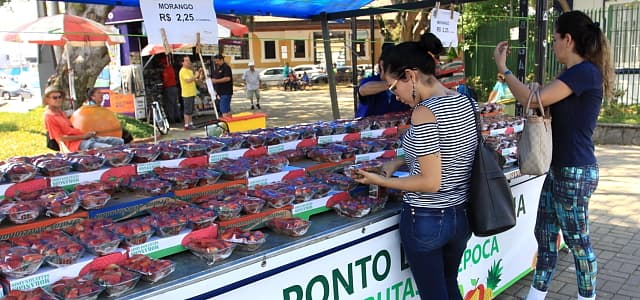 Ponto da Economia prorroga venda de morango por mais uma semana