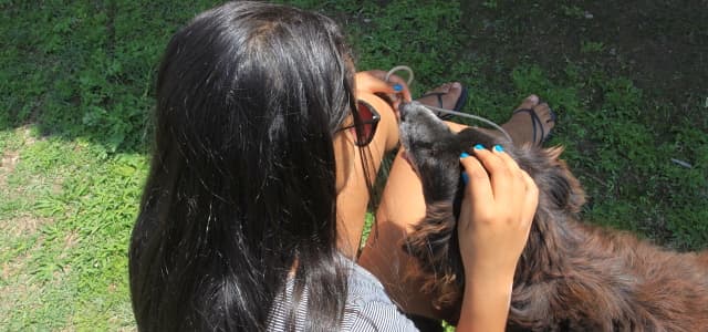 Cachorrinho Tufão é a nova alegria de Acolhimento Provisório em Jacareí