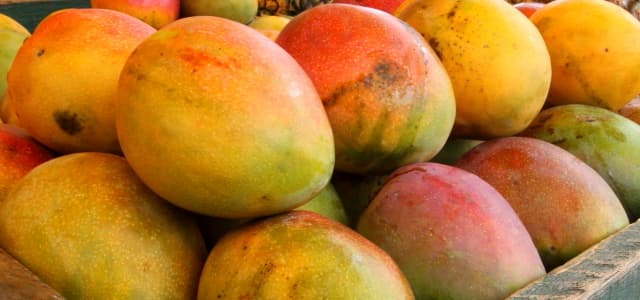 Ponto da Economia elege próxima fruta do programa