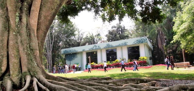 Secretaria de Meio Ambiente divulga agenda do NEA de novembro