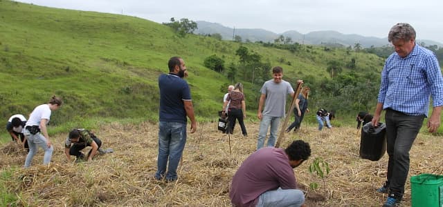 Propriedade rural recebe plantio de 380 mudas do projeto Renascentes