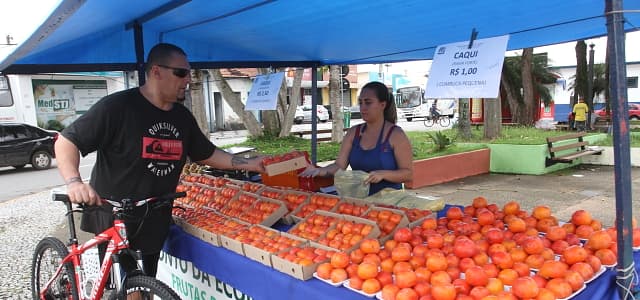 ‘Ponto da Economia’ encerra primeira semana com venda expressiva de caquis