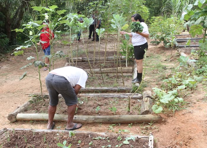 Saúde oferece diversos tratamentos para prevenção do suicídio em Jacareí
