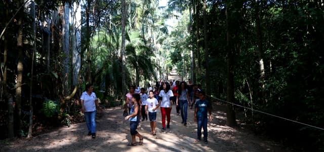 NEA realiza vivência com pais e alunos da EMEF Adélia Monteiro no Viveiro Municipal