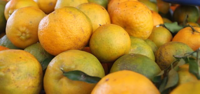 Ponkan é a nova fruta do Ponto da Economia