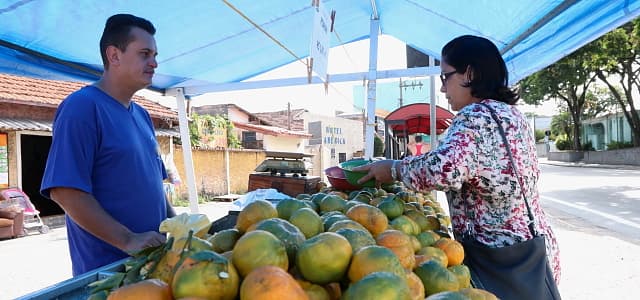 ‘Ponto da Economia’ comercializa dez toneladas de Ponkan em três dias de vendas