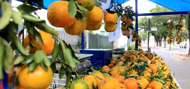 Ponkan continua por mais três semanas no ‘Ponto da Economia’