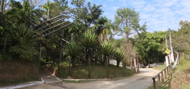 Terceira edição do “Férias no Viveiro” acontece em julho