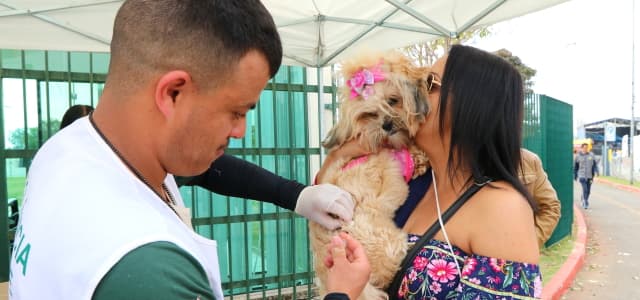 Saúde vacina 1.268 animais contra raiva no final de semana