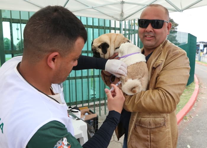 Saúde vacina 63 animais contra raiva em Feira Literária