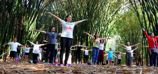 Yoga será a atração do Viveiro Municipal neste domingo (05)