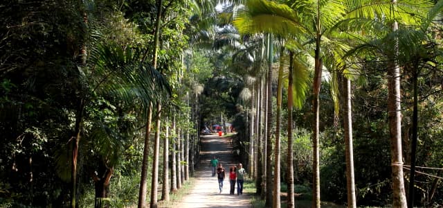Vereadores aprovam empréstimo da CAF para pacote de obras