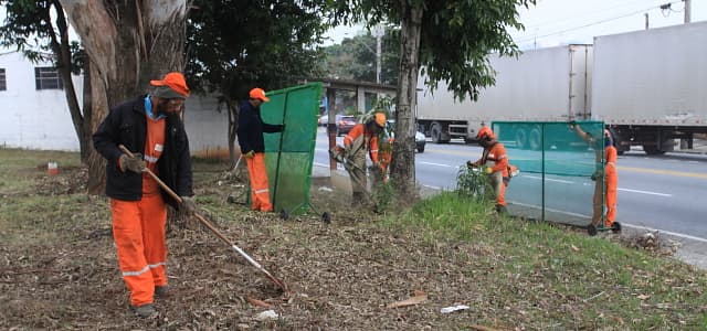 Serviço de capina da próxima semana contempla oito bairros e quatro avenidas