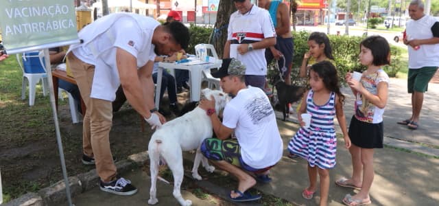 Neste sábado (4) terá vacinação antirrábica em Jacareí