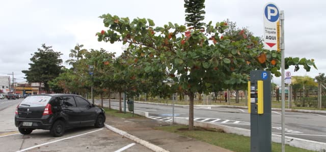 Serviço de Zona Azul ficará suspenso nos dias 4 e 5 de março