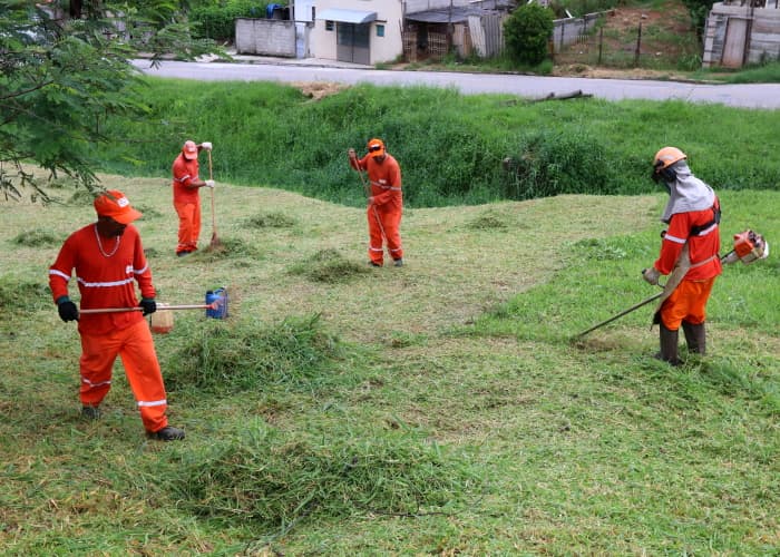 Calendário de julho do Meio Ambiente já está no site
