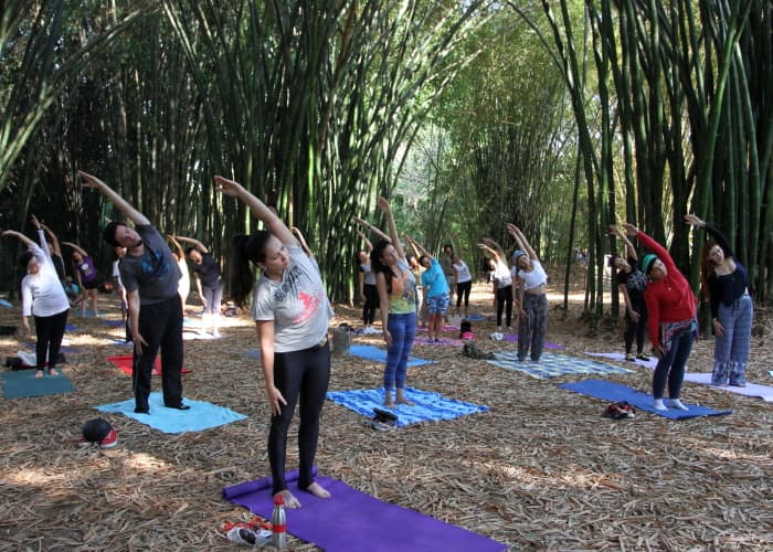 Yoga será atração neste domingo (04) no Viveiro Municipal