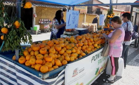 Ponto da Economia inicia venda de ponkan nesta terça-feira (14), em Jacareí