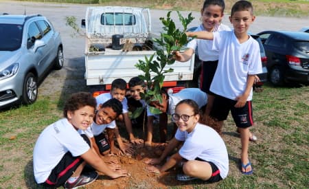 Dia Mundial em Memória das Vítimas de Trânsito é lembrado com plantio de árvores em Jacareí