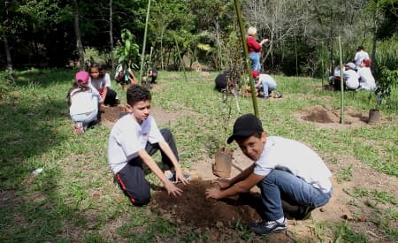 Alunos fazem plantio de mudas no Viveiro Municipal