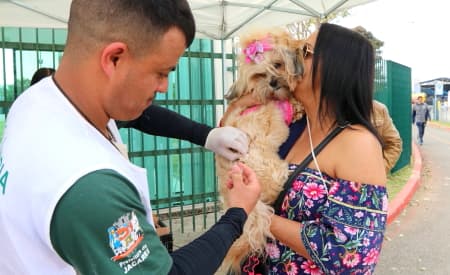 Agendamento para vacinação antirrábica retorna na próxima segunda-feira (6)