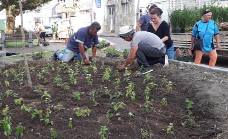 Alunos encerram curso de Jardinagem em Praça do Pq. Brasil, em Jacareí