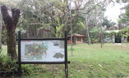Projeto “Horta Urbana”, de Jacareí, terá 1ª oficina no sábado (12)