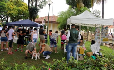 Prefeitura de Jacareí promove vacinação antirrábica para cães e gatos no sábado (19) e domingo (20)