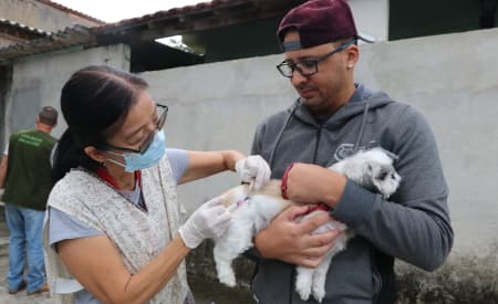 Prefeitura de Jacareí realiza vacinação antirrábica para cães e gatos no domingo (28), no Parque da Cidade