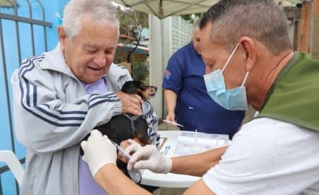 Prefeitura de Jacareí realiza vacinação antirrábica para cães e gatos no sábado (25), no Parque Imperial