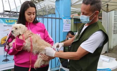 Vacine seu pet! Prefeitura de Jacareí promove vacinação antirrábica para cães e gatos no sábado (11) e domingo (12)