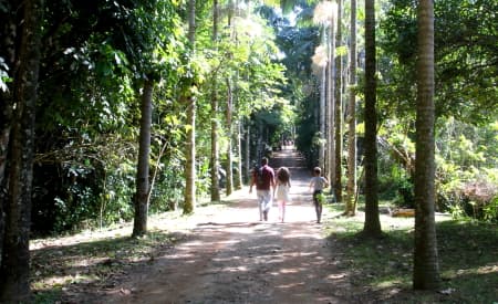 ‘Viver o Viveiro’ reúne mais de 400 pessoas, no domingo, em Jacareí
