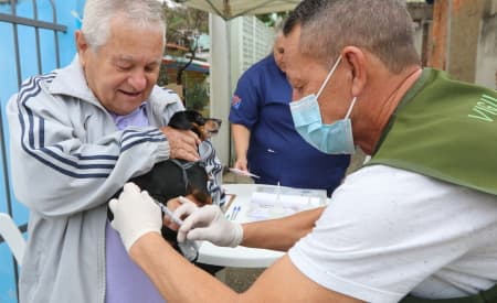 Prefeitura realiza vacinação antirrábica nos pets neste domingo (31), no Parque da Cidade
