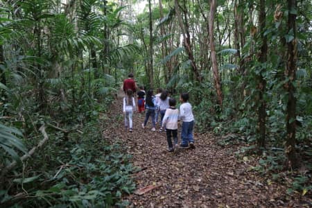 Edição de setembro do ‘Viver o Viveiro’ comemora a chegada da primavera, neste domingo (25)