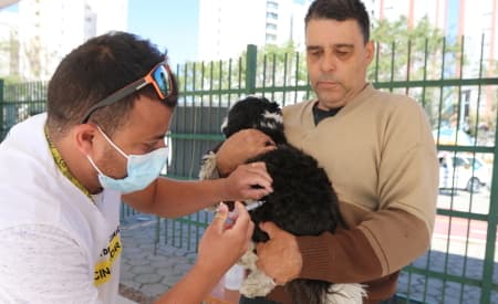 Prefeitura de Jacareí realiza mutirão de castração e de vacinação antirrábica para cães e gatos no sábado (15), no Bandeira Branca