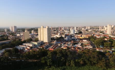 Consulta pública sobre o Plano Municipal de Arborização Urbana continua até o dia 21 de junho, em Jacareí. Participe!