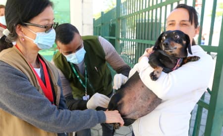 Imunização de pets! Prefeitura de Jacareí realiza vacinação antirrábica no sábado (5) e domingo (6)
