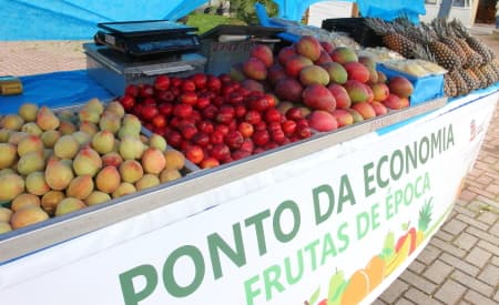 Ponto da Economia inicia vendas de frutas da época, a partir desta quarta-feira (14)