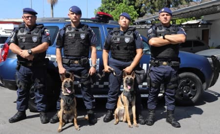 Guarda Municipal de Jacareí inicia projeto com cães farejadores