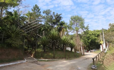 Núcleo de Educação Ambiental de Jacareí oferece aulas gratuitas de Lian Gong, a famosa ginástica terapêutica chinesa, no Viveiro Municipal