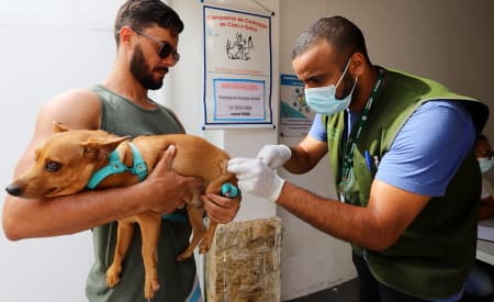 Prefeitura de Jacareí promove vacinação antirrábica para cães e gatos no sábado (15) e domingo (16)